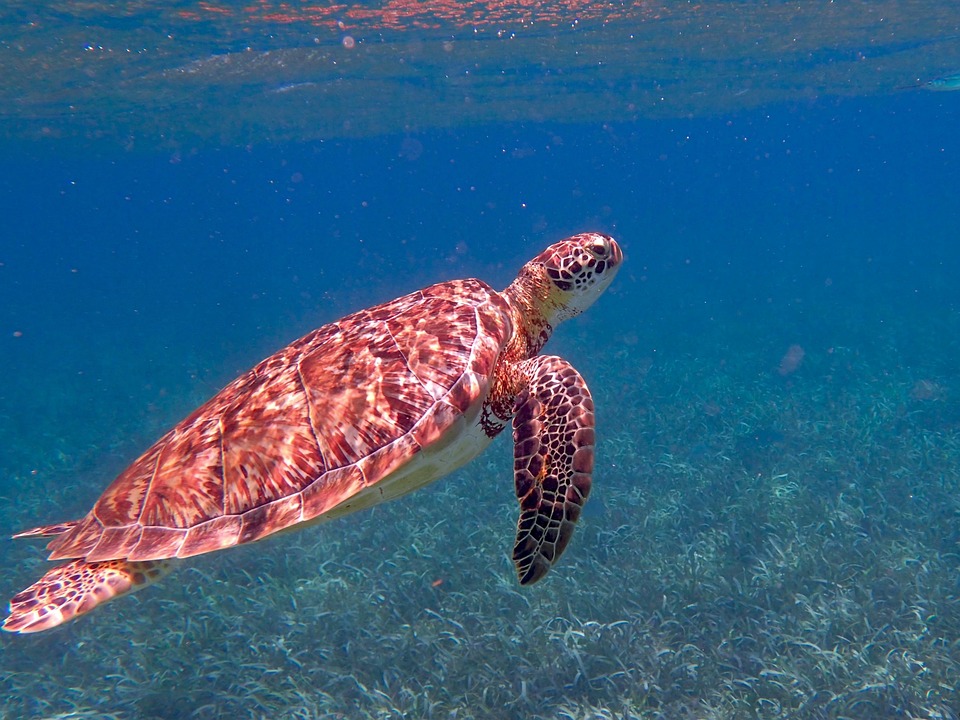 Romantic getaways in Belize